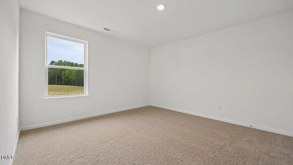 78 Richmond Run Stem, NC 27581