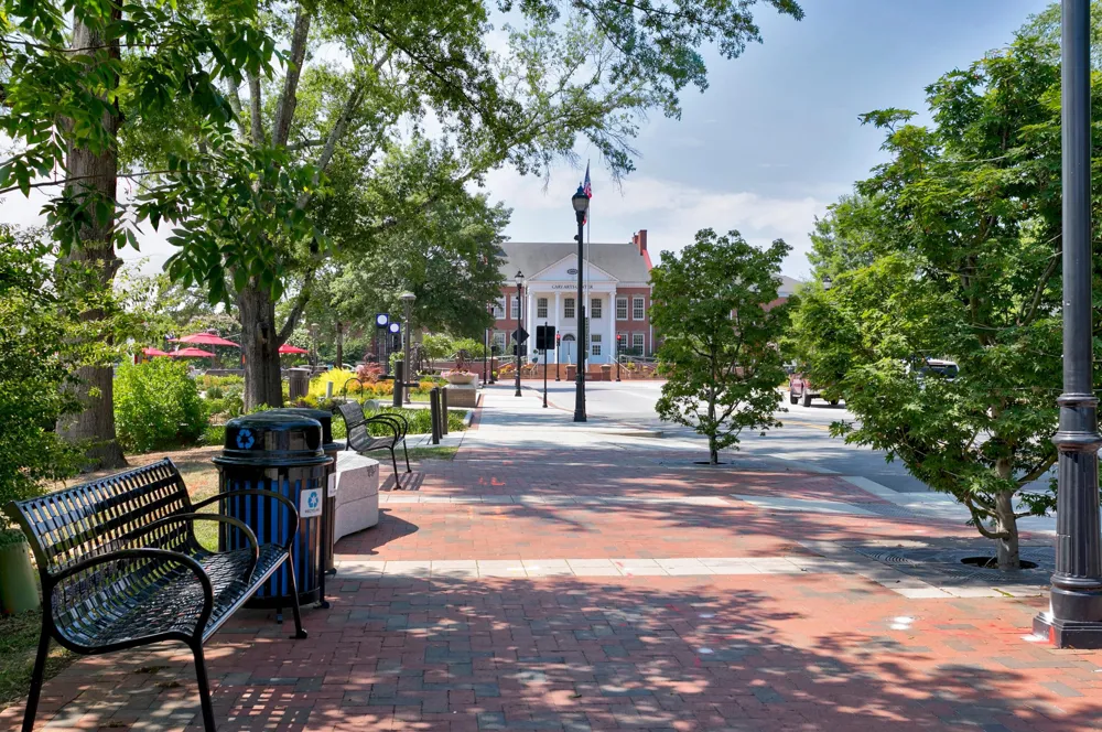 407 Chatham View Road Cary, NC 27511