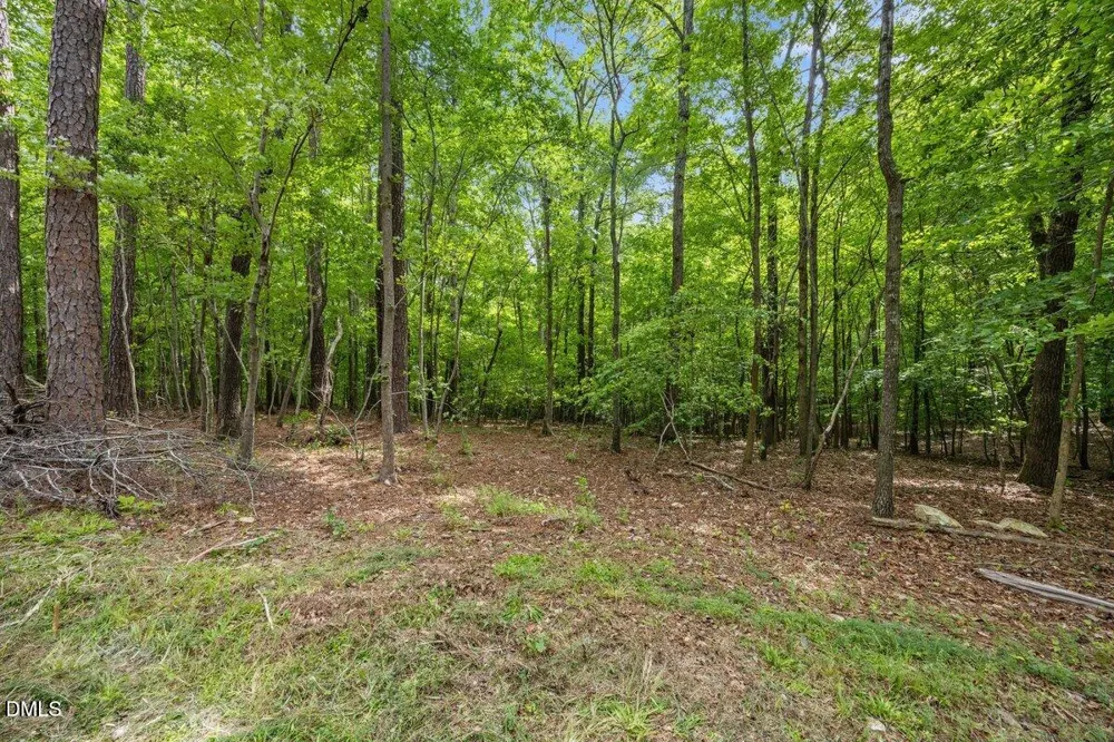 Lot 8 Stallings Road Spring Hope, NC 27882