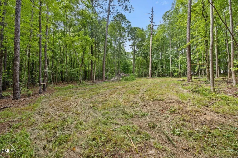 Lot 8 Stallings Road Spring Hope, NC 27882