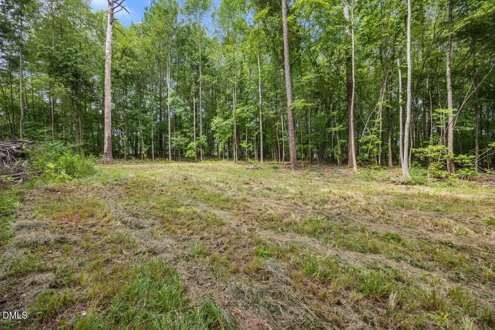 Lot 8 Stallings Road Spring Hope, NC 27882