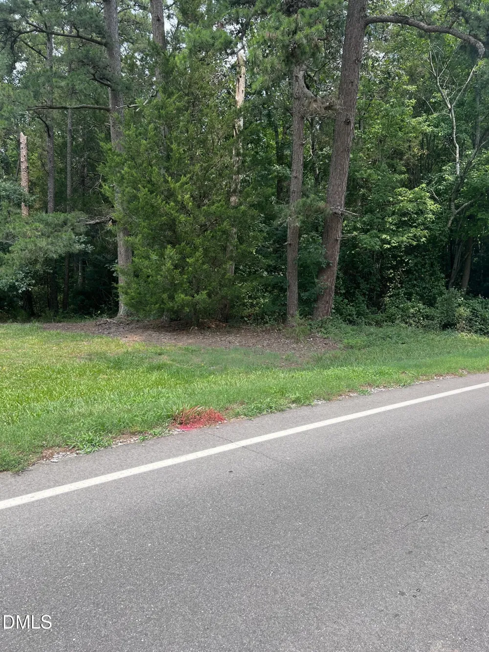 Lot 1 Elmer Moore Road Siler City, NC 27344