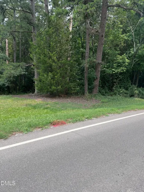 Lot 1 Elmer Moore Road