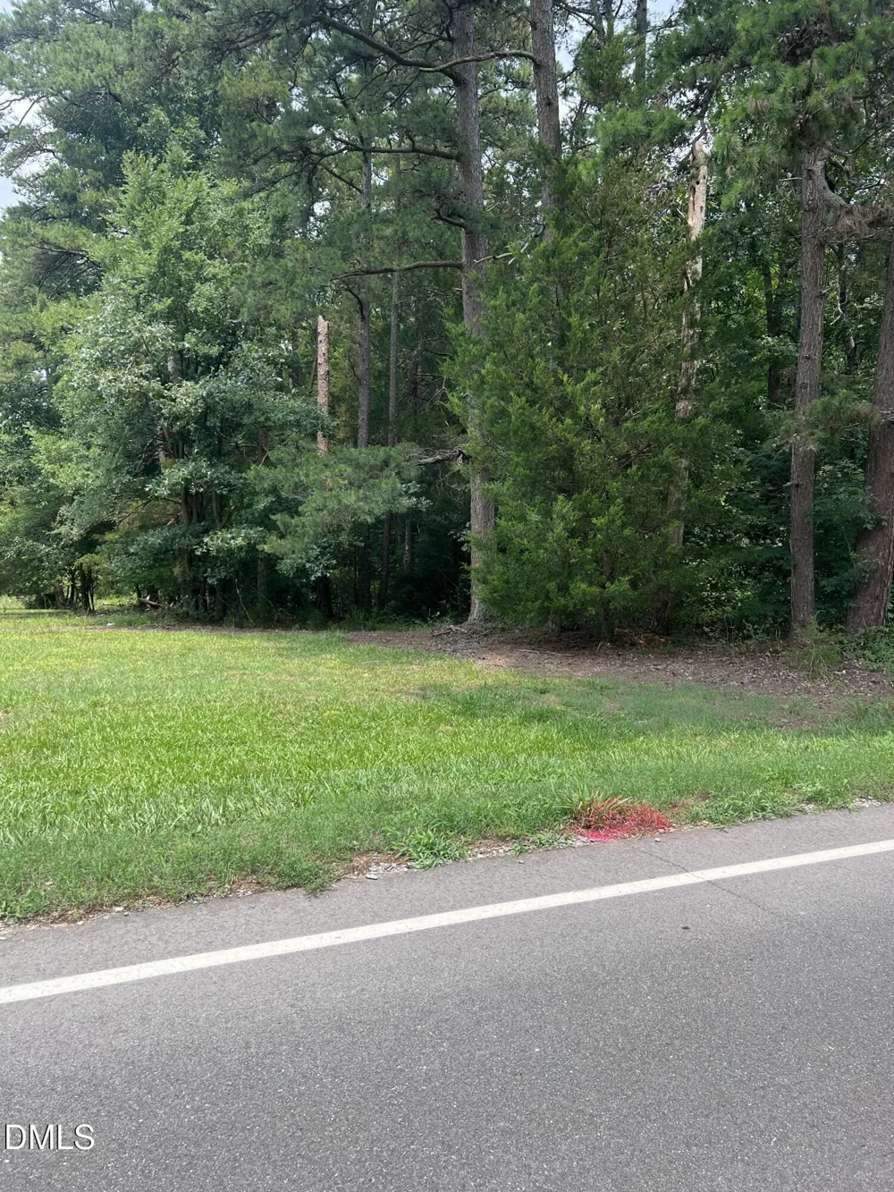 Lot 1 Elmer Moore Road Siler City, NC 27344