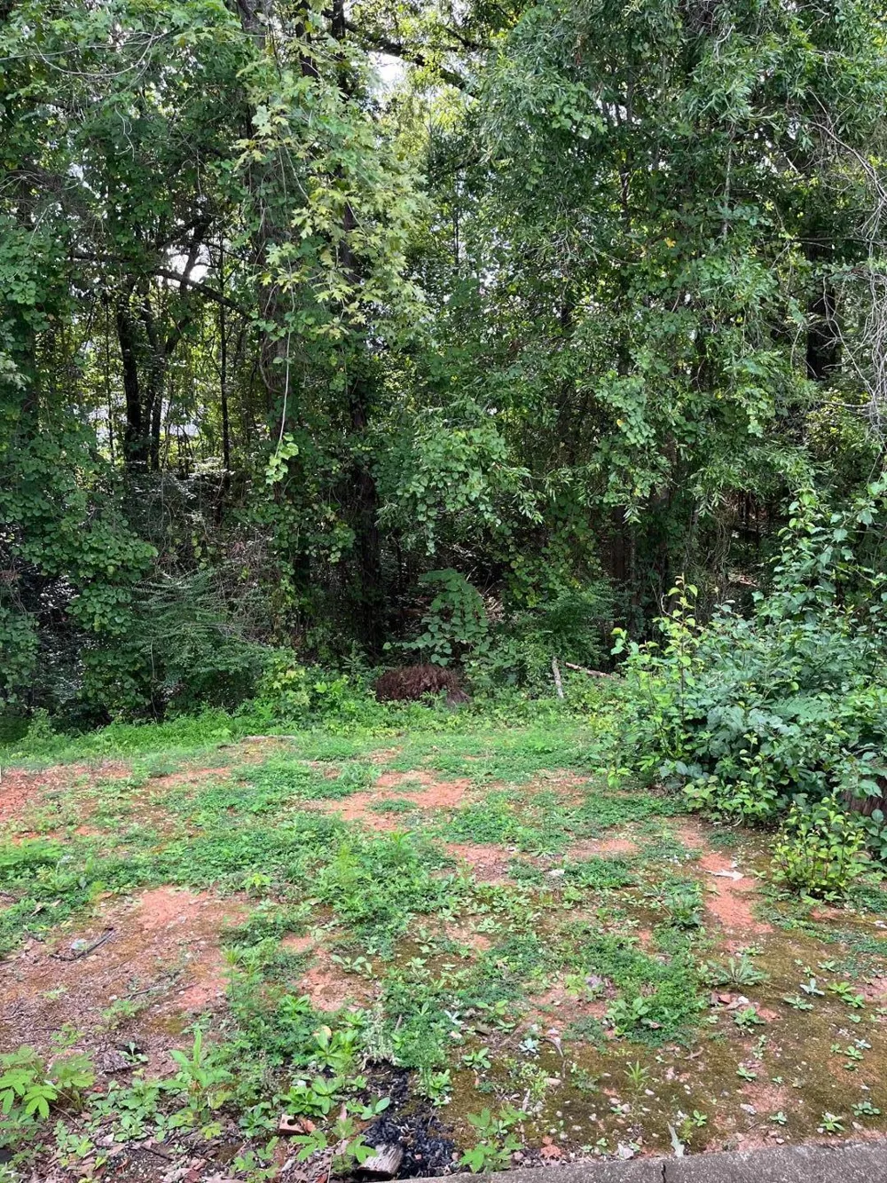 321 Woodson Drive Clayton, NC 27527