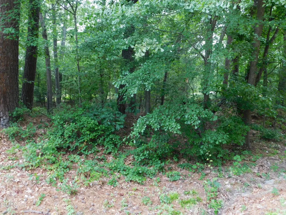 4815 Redwood Road Durham, NC 27704