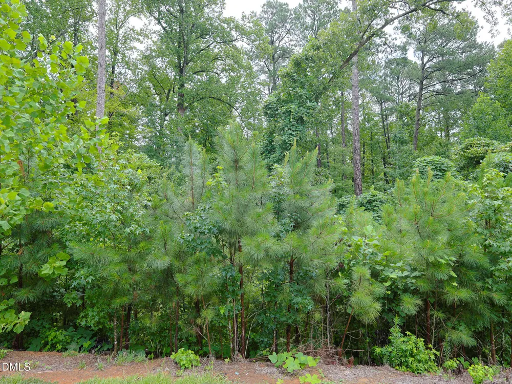 918 E Green Street #E109 Franklinton, NC 27525