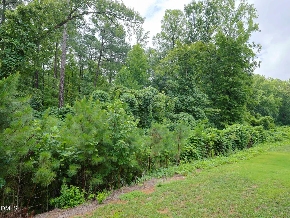 918 E Green Street #E109 Franklinton, NC 27525