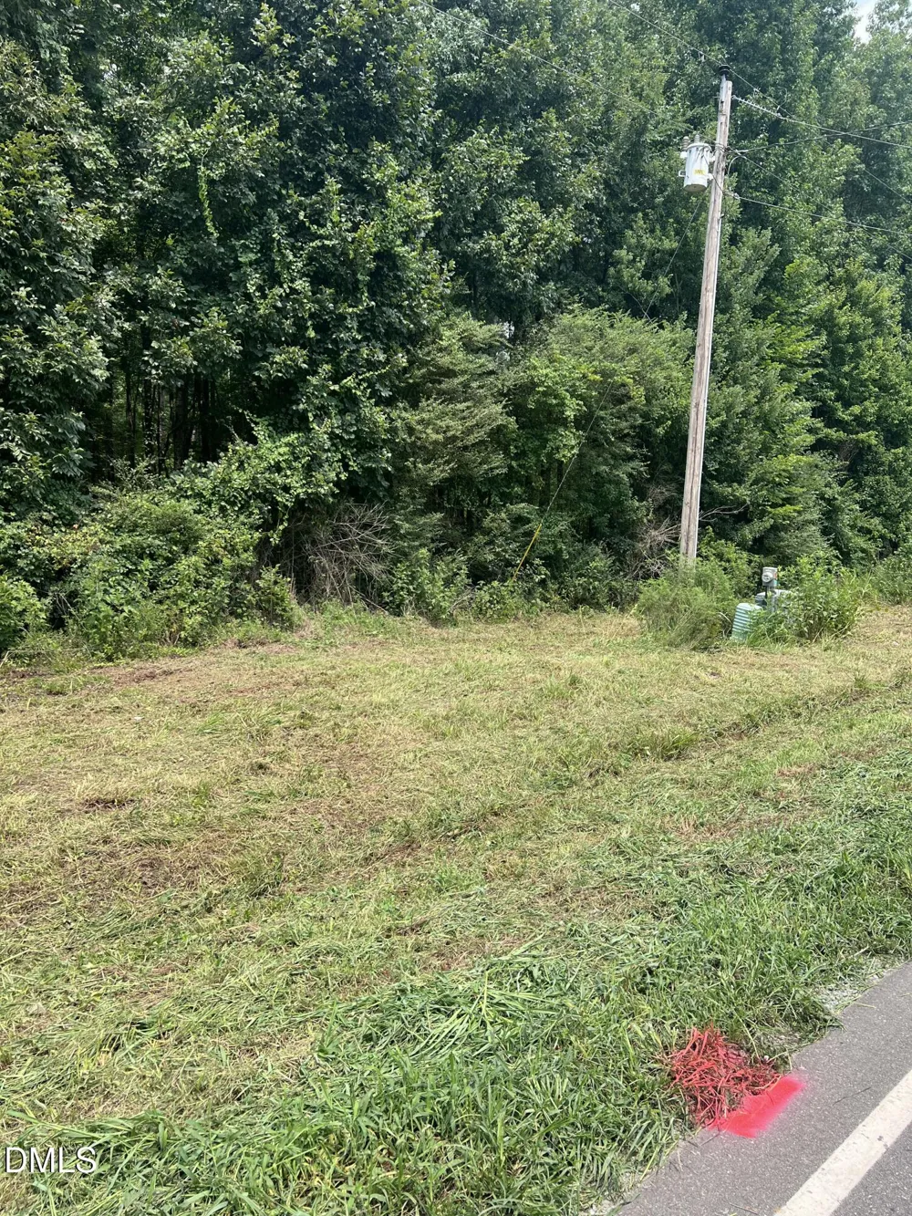 Lot 4 Elmer Moore Road Siler City, NC 27344