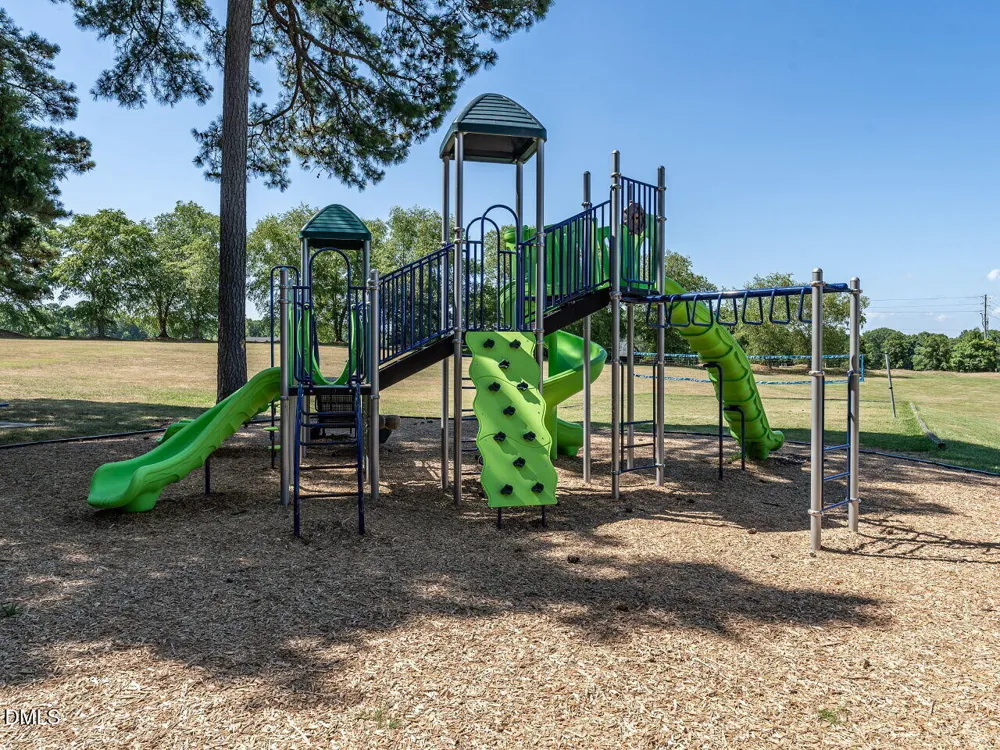 153 Summit Oaks Lane Holly Springs, NC 27540