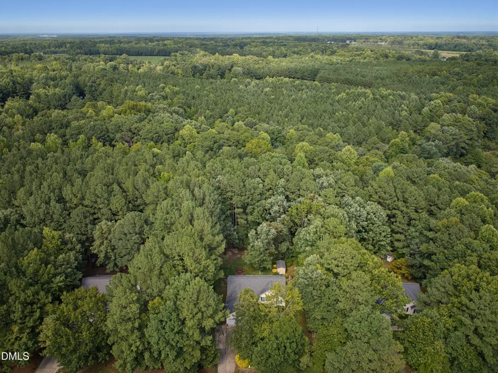 95 Wembley Court Youngsville, NC 27596