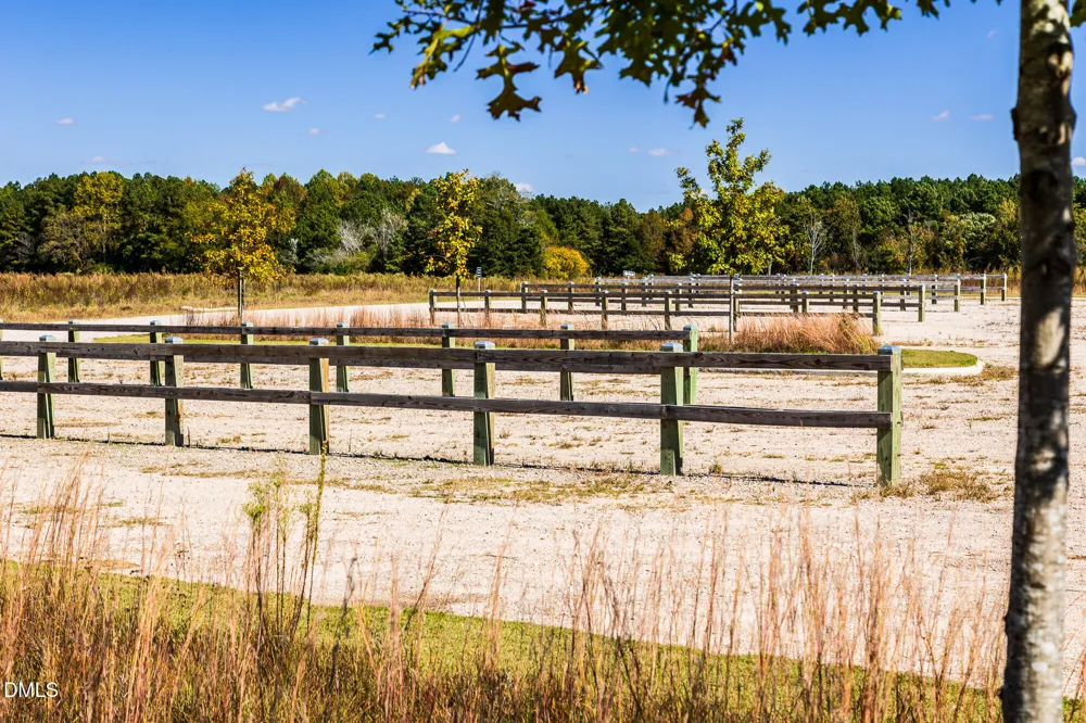 116 Sweetbay Tree Drive Wendell, NC 27591