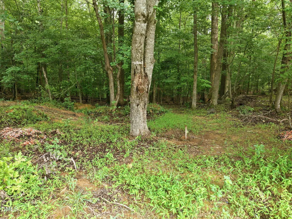 618 Bowen Road Rougemont, NC 27572