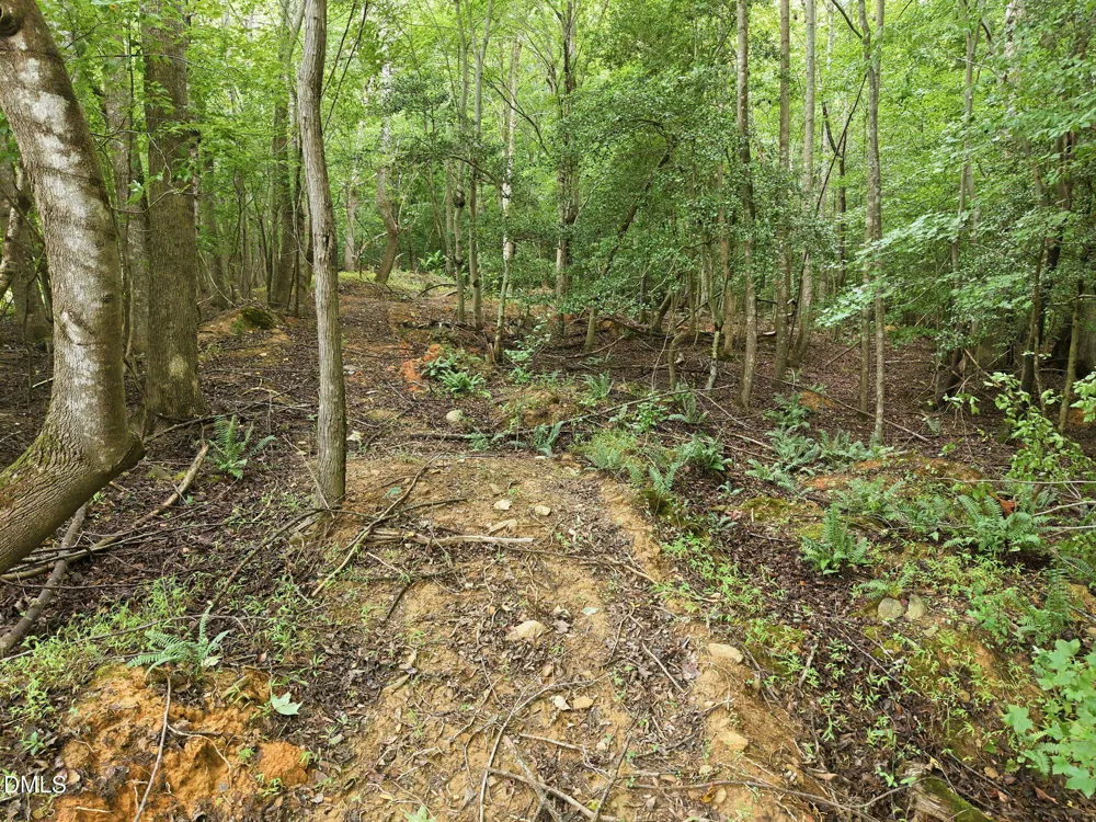 618 Bowen Road Rougemont, NC 27572