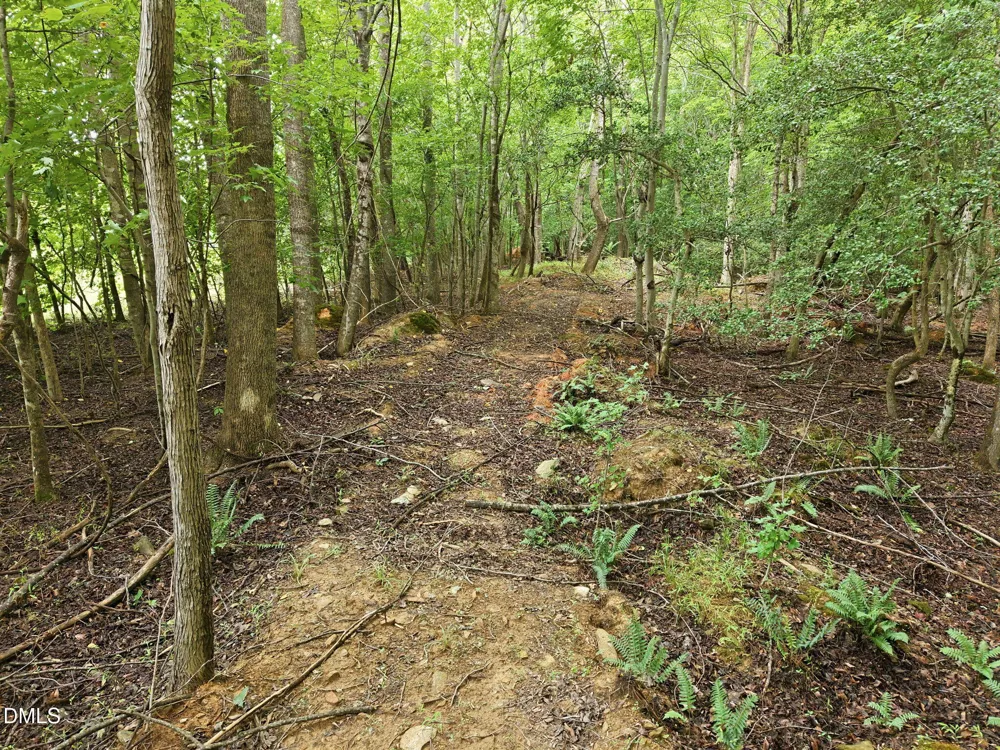 618 Bowen Road Rougemont, NC 27572