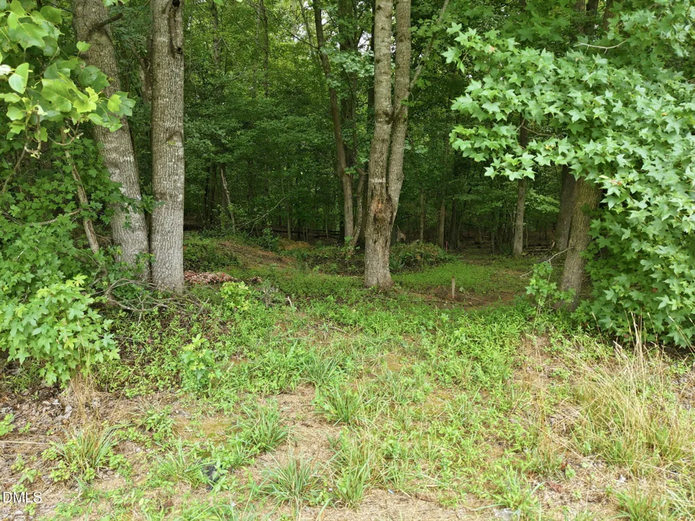 618 Bowen Road Rougemont, NC 27572