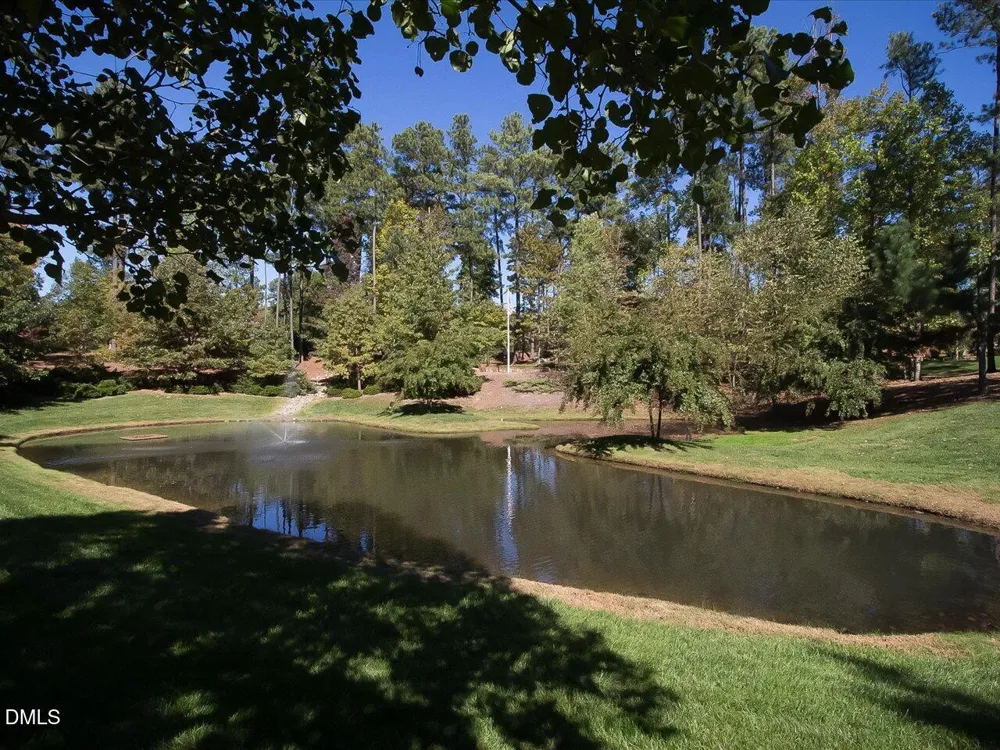 273 Brown Bear Chapel Hill, NC 27517