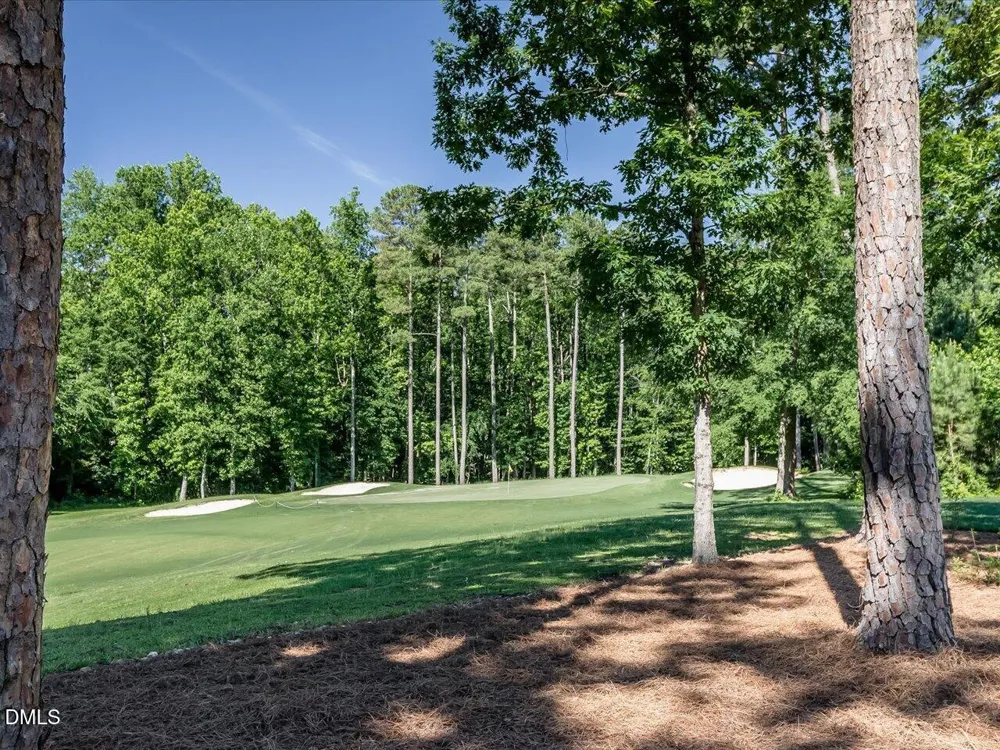 273 Brown Bear Chapel Hill, NC 27517