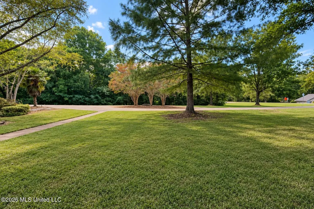9739 Springridge Road Terry, MS 39170