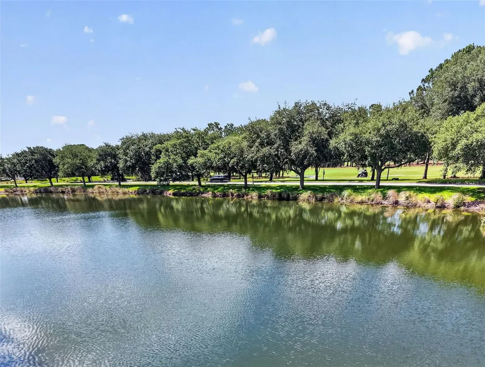 9616 SAN FERNANDO COURT Howey In The Hills, FL 34737