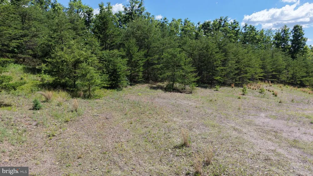 0 SAWMILL ROAD Petersburg, PA 16669