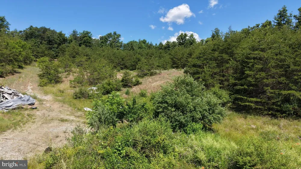 0 SAWMILL ROAD Petersburg, PA 16669