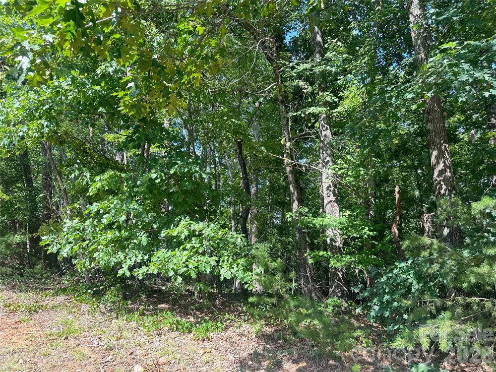 0 John Byrd Road Morganton, NC 28655