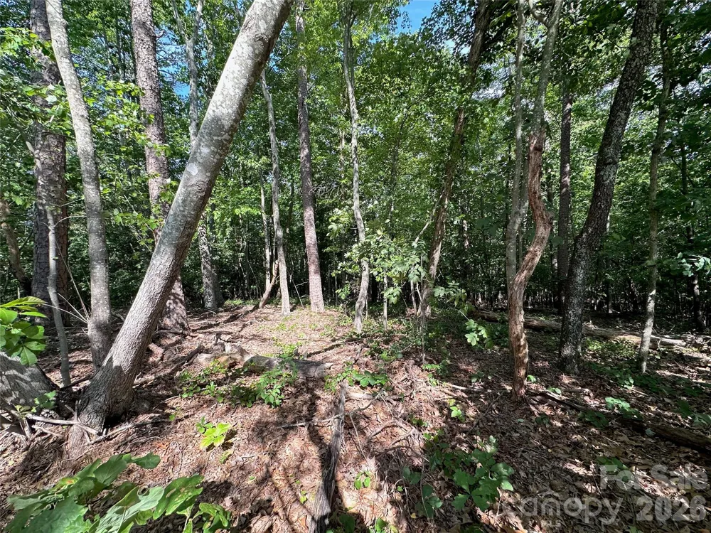 0 John Byrd Road Morganton, NC 28655