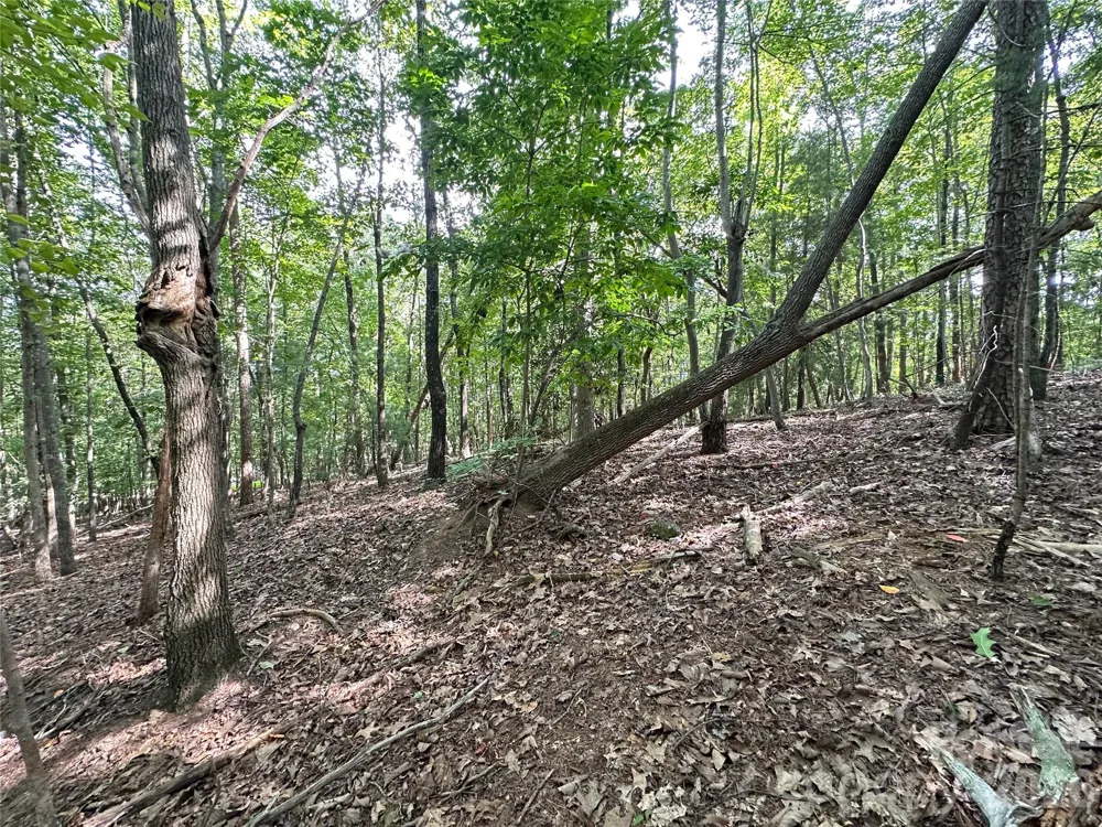 0 John Byrd Road Morganton, NC 28655