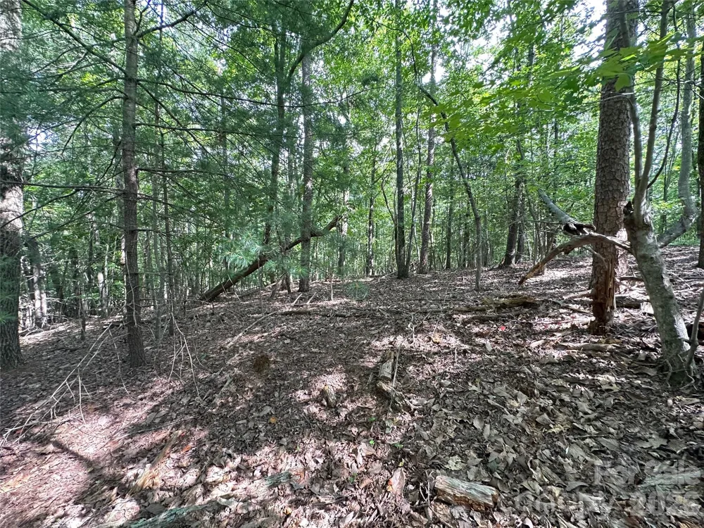 0 John Byrd Road Morganton, NC 28655