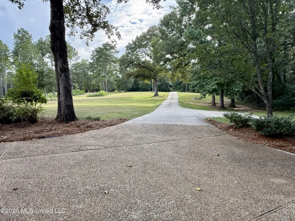 64 Greer Road Jayess, MS 39641