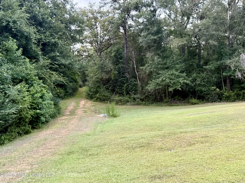 64 Greer Road Jayess, MS 39641