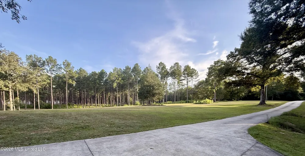 64 Greer Road Jayess, MS 39641