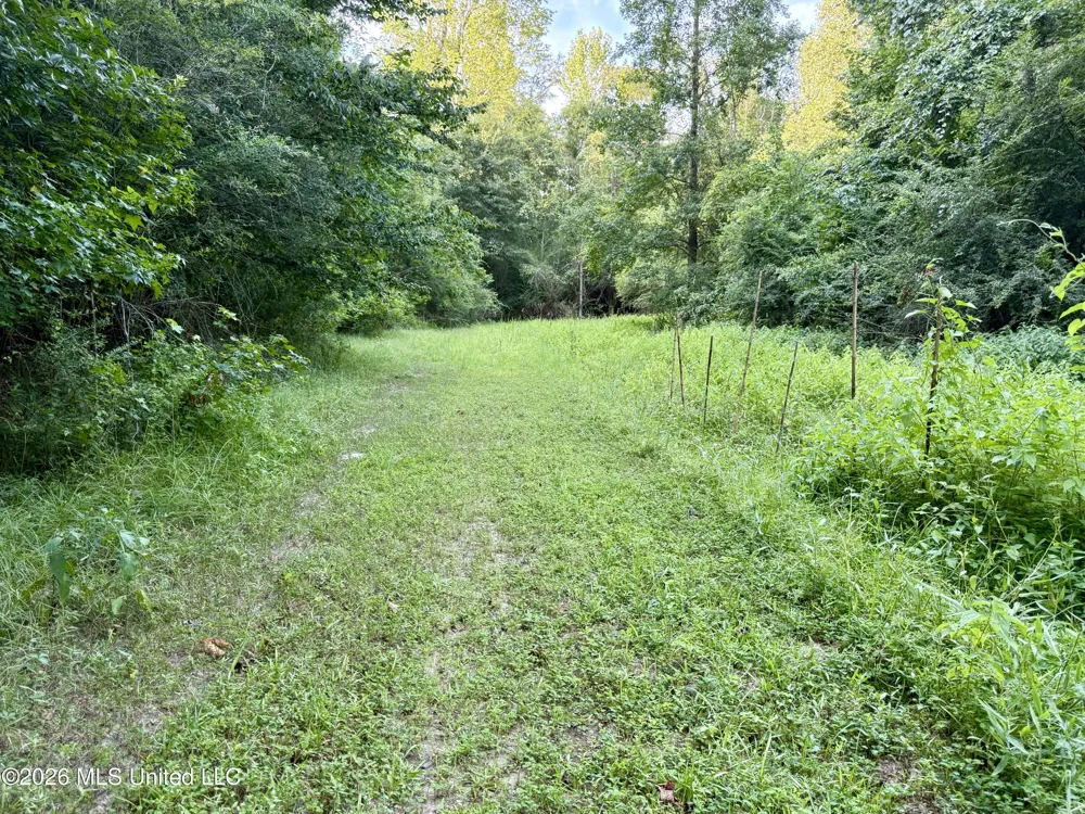 64 Greer Road Jayess, MS 39641