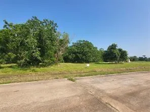 71 Conestoga Trl Angleton, TX 77515