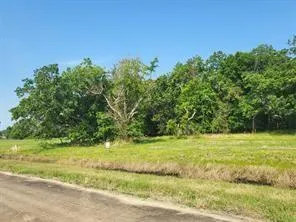 71 Conestoga Trl Angleton, TX 77515