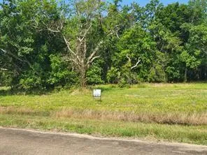 71 Conestoga Trl Angleton, TX 77515