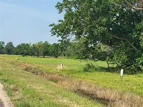 71 Conestoga Trl Angleton, TX 77515