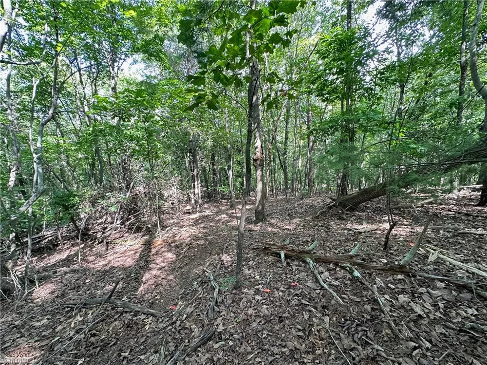 0 John Byrd Road Morganton, NC 28655