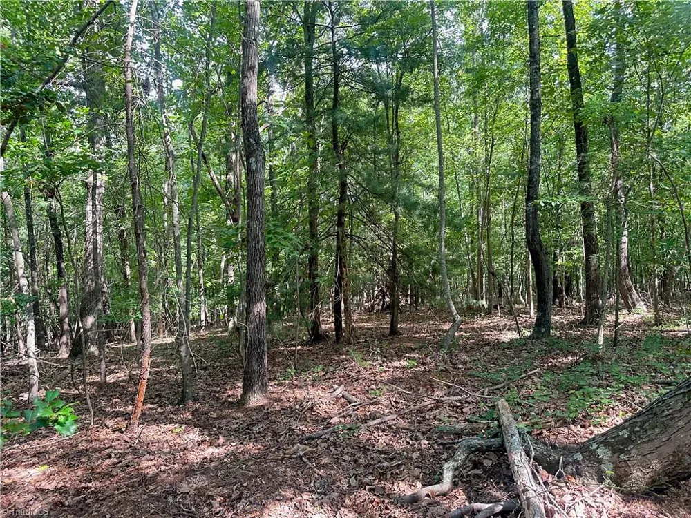 0 John Byrd Road Morganton, NC 28655