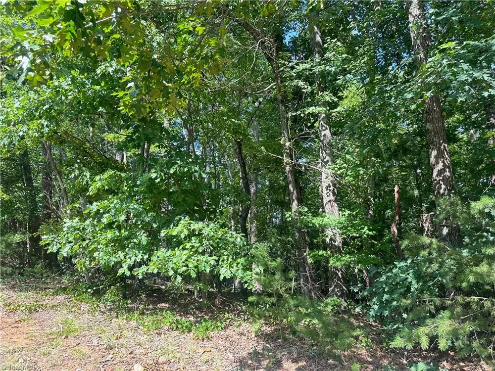 0 John Byrd Road Morganton, NC 28655
