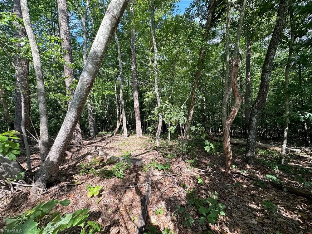 0 John Byrd Road Morganton, NC 28655