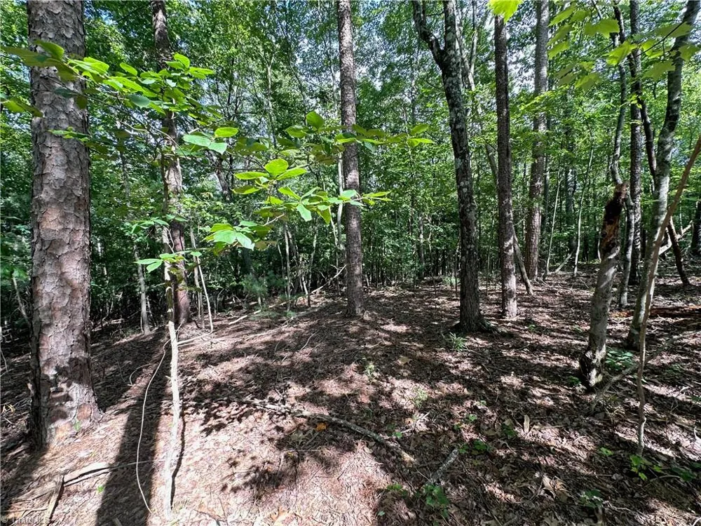 0 John Byrd Road Morganton, NC 28655