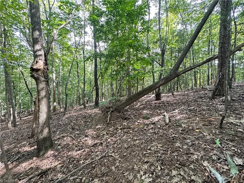 0 John Byrd Road Morganton, NC 28655