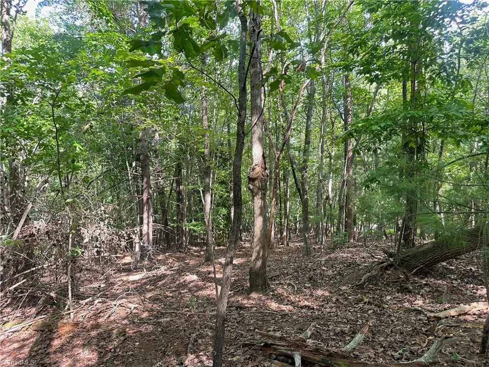 0 John Byrd Road Morganton, NC 28655