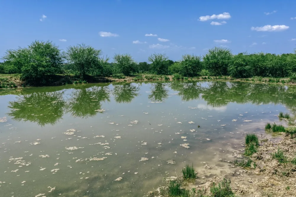 9320 Fm 1370 Washington, TX 77880