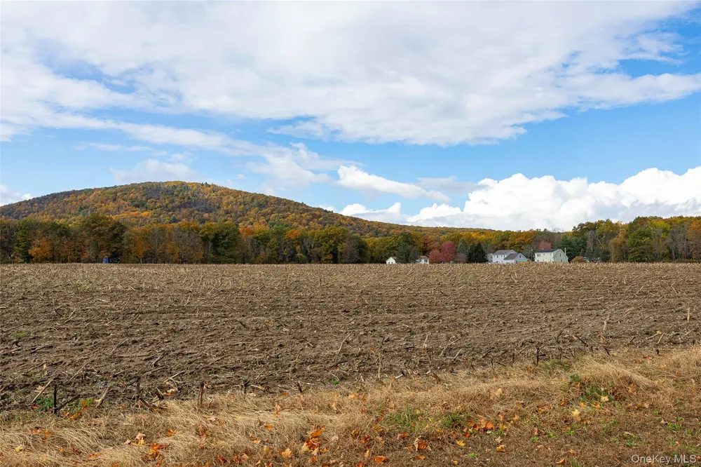 82 Lake Road Pine Plains, NY 12567