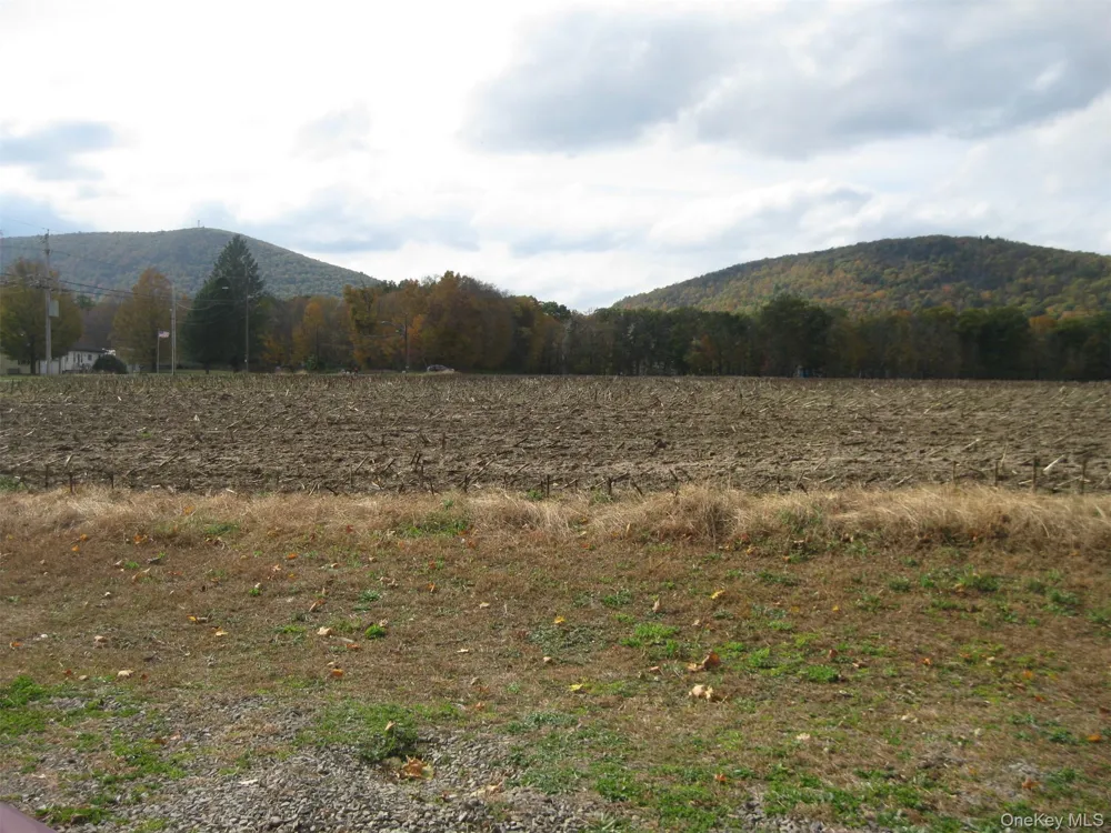 82 Lake Road Pine Plains, NY 12567