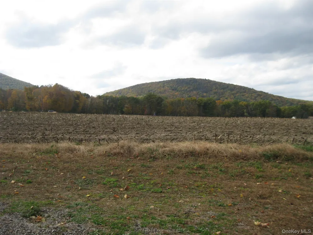 82 Lake Road Pine Plains, NY 12567