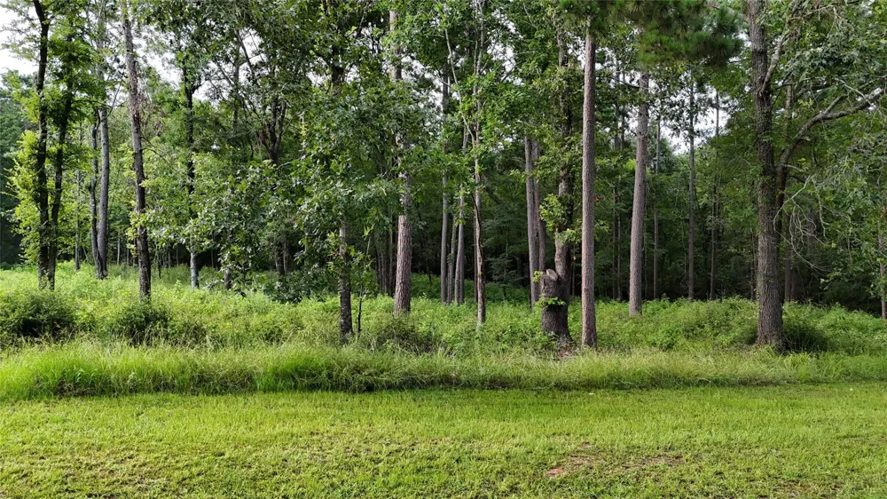 35 Naples Way Huntsville, TX 77320